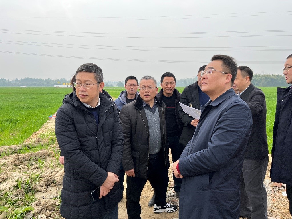 省社、省供投集團(tuán)領(lǐng)導(dǎo)調(diào)研青白江區(qū)四川現(xiàn)代供銷種業(yè)園區(qū)